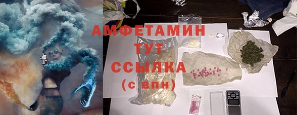 прущие грибы Белокуриха