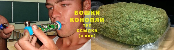 прущие грибы Белокуриха