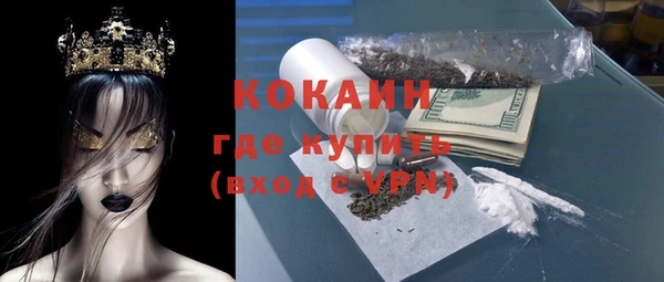 прущие грибы Белокуриха