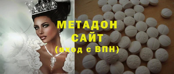 прущие грибы Белокуриха