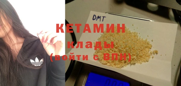 прущие грибы Белокуриха