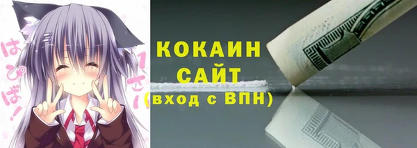 прущие грибы Белокуриха
