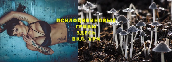 прущие грибы Белокуриха