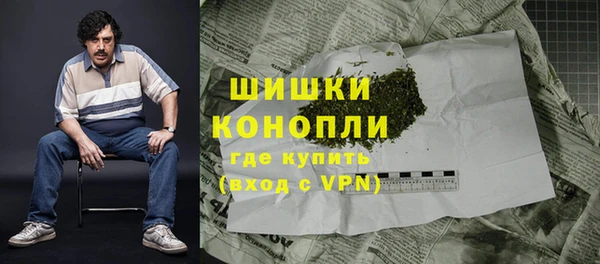 прущие грибы Белокуриха