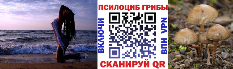 Псилоцибиновые грибы Psilocybe  Козельск 